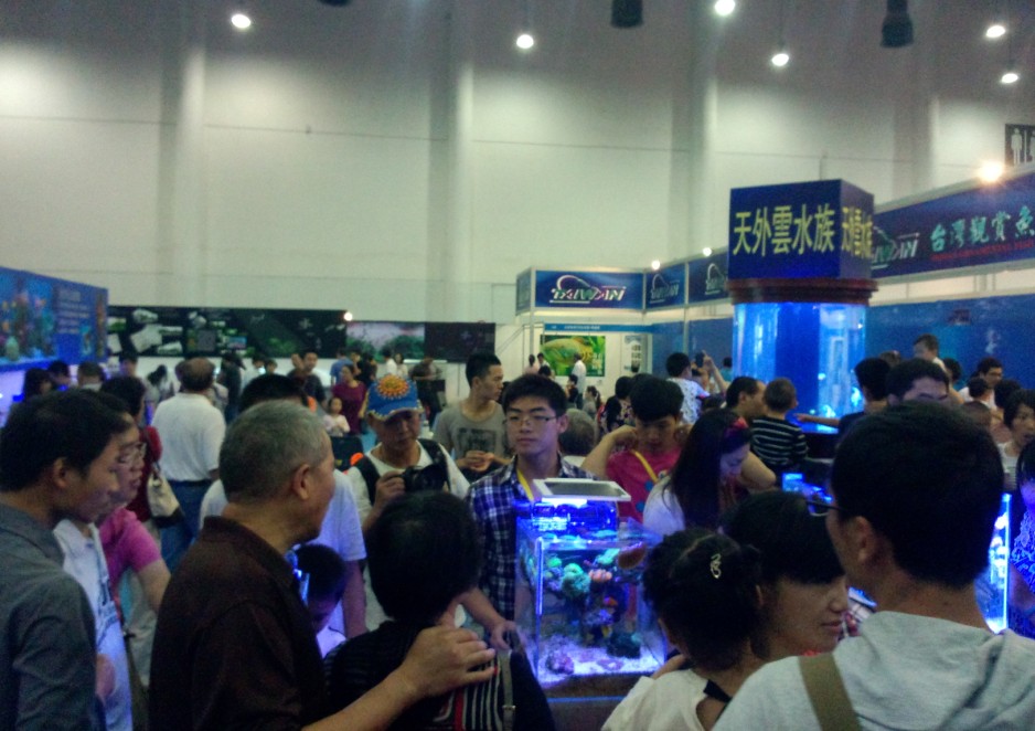 2013第六届中国（厦门）国际休闲渔业博览会精彩回顾